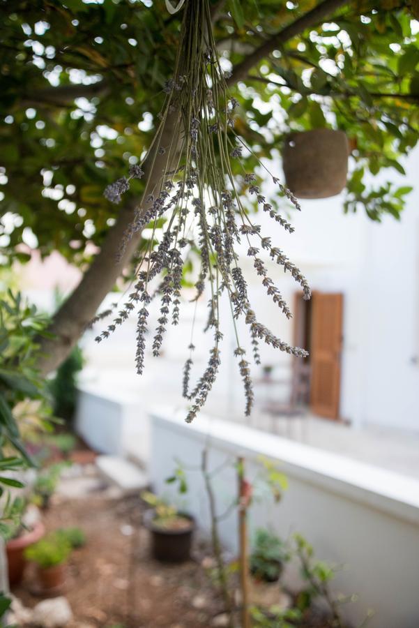 Giardino Segreto Bed & Breakfast ปูติญญาโน ภายนอก รูปภาพ