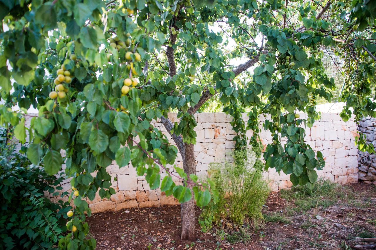 Giardino Segreto Bed & Breakfast ปูติญญาโน ภายนอก รูปภาพ