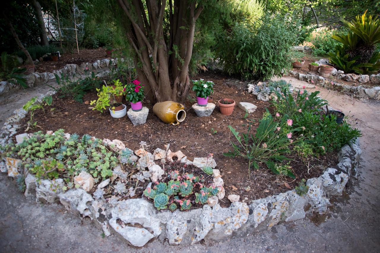 Giardino Segreto Bed & Breakfast ปูติญญาโน ภายนอก รูปภาพ